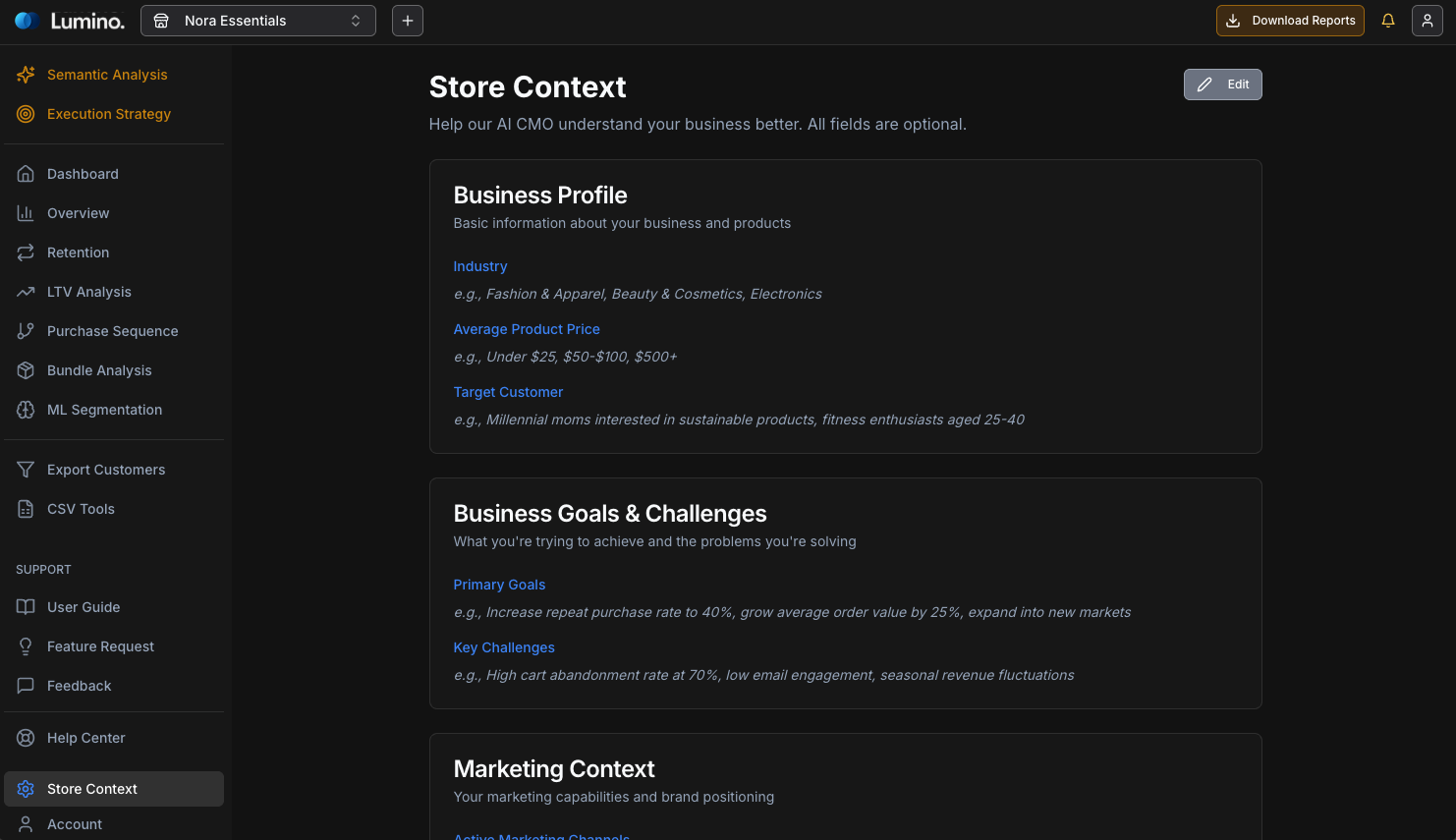 Store Context - Business Profile and Goals